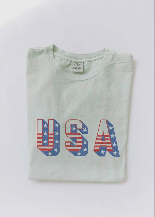 USA Mineral Washed Graphic Top